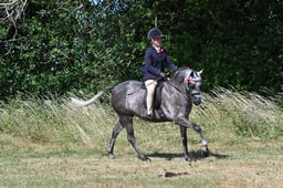 S60_0436 2026