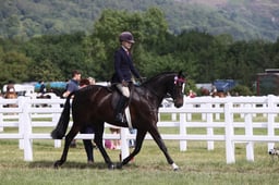 E43_0545 2026