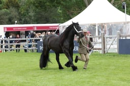 W29_0894 2026