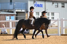 A65_0911 2026