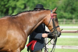 Ledbury Ring A