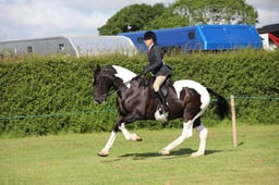 W36_0307 2026