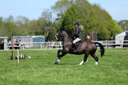 M19_0475 2026