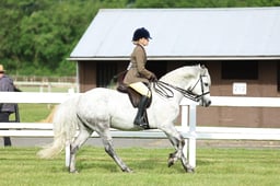 Z41_0055 2026