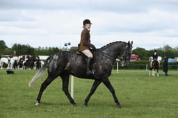 E36_0629 2026