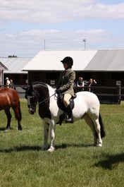 L42_9100 2026
