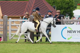 138 Show Hunter Pony 123cm