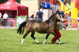 E34_1647 2026