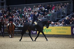 Int Show Riding Type of the Year Championship