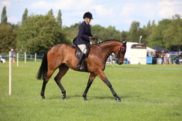 W36_2483 2026
