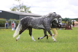 J36_5900 2026