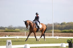 A15_0889 2026