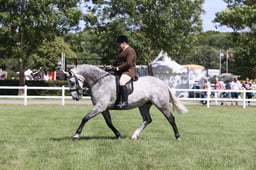 E42_3108 2026