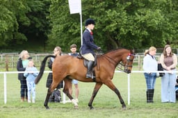 E31_1509 2026