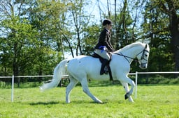 M19_0824 2026