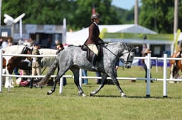 H47_0348 2026