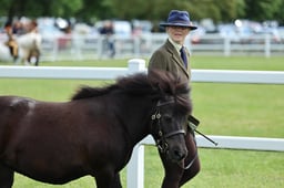 Z41_0549 2026
