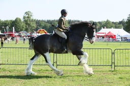 E33_0495 2026
