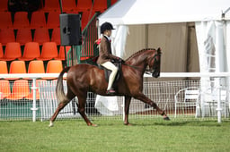 04 HOYS SHP 133cm