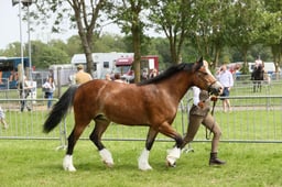 E34_2497 2026