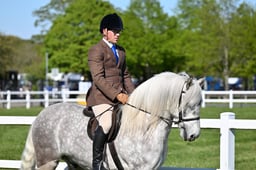 67 Picton Novice Fell Dales High