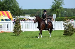 F33_0477 2026