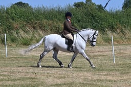 S60_0470 2026
