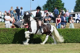 S61_0797 2026
