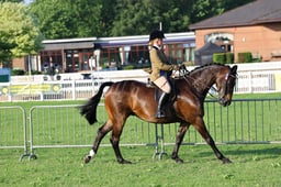 H33_3266 2026