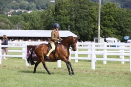 E42_0590 2026