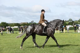 E36_0363 2026