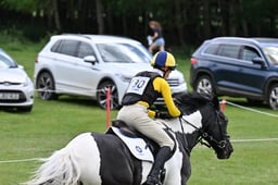 D35_0974 2026
