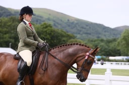 H205 HOYS Small Riding Horse
