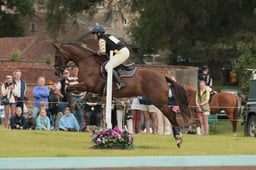S40_9036 2026