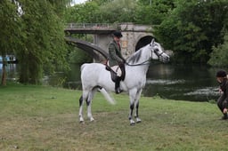 L31_0985 2026
