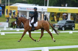 124 MHS GLOBAL COOLEY
