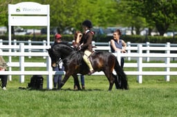 H19_0845 2026