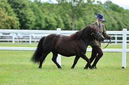Z41_0566 2026
