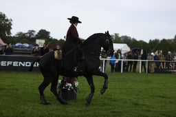 E30_5450 2026