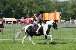 C33_1489 2026