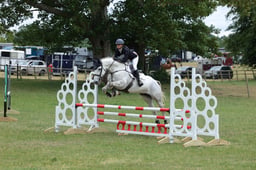 251 MY CLOVER GALE