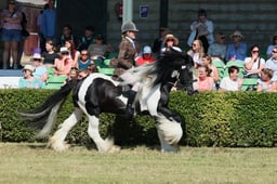 S61_0740 2026
