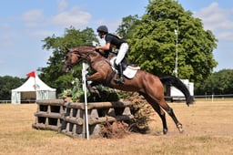 176 ANNE BONNY