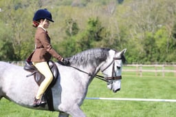 90 M&M Young Ridden Pony 5yrs