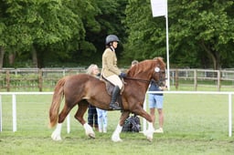 E31_1505 2026