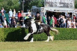 S61_0574 2026