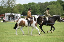 17-13 HOYS Coloured Championship