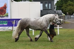M44_0607 2026