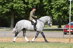 H65_0444 2026