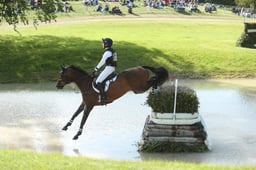 F39_2943 2026